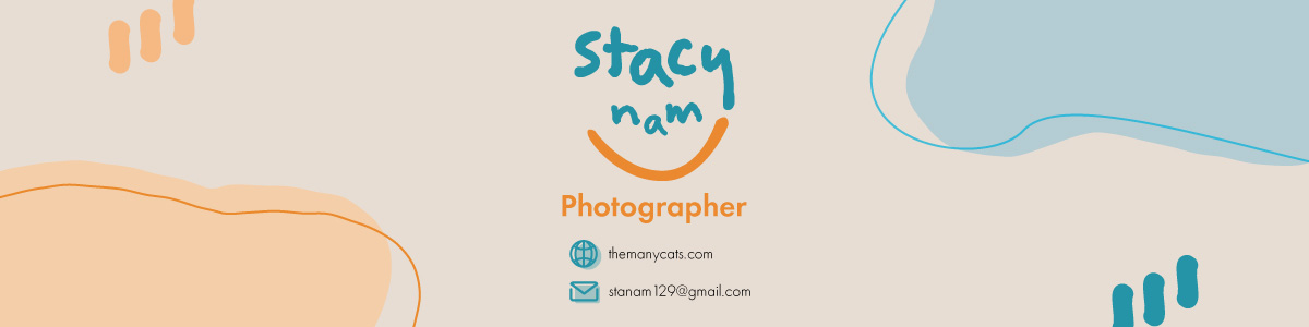 Stacy Nam Portfolio Banner